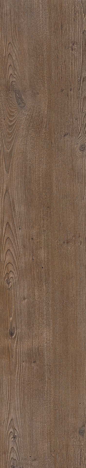 Mflor 75190 Argyll Fir Serrano 20-03 - Afbeelding 3