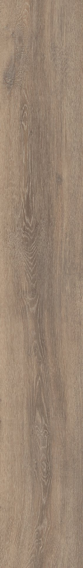 Mflor 56313 Authentic Oak XL Calabria 25-05 - Afbeelding 3