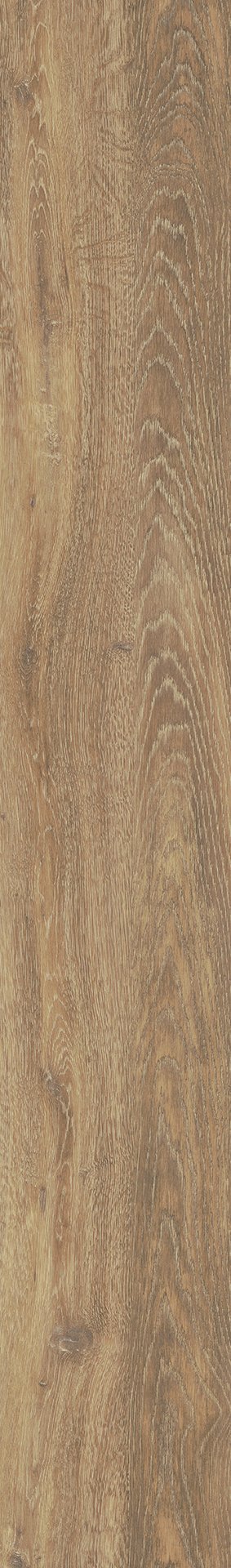 Mflor 56315 Authentic Oak XL Apulia 25-05 - Afbeelding 3