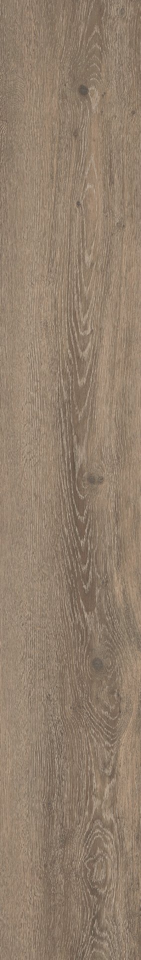 Mflor 56317 Authentic Oak XL Lombardia 25-05 - Afbeelding 3