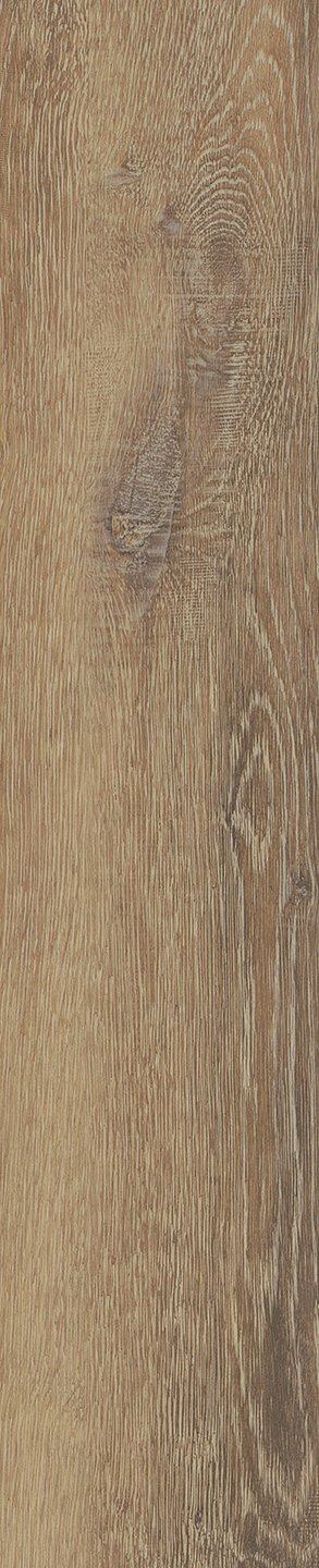 Mflor 46415 Authentic Parva Oak XL Apulia 25-05 - Afbeelding 3