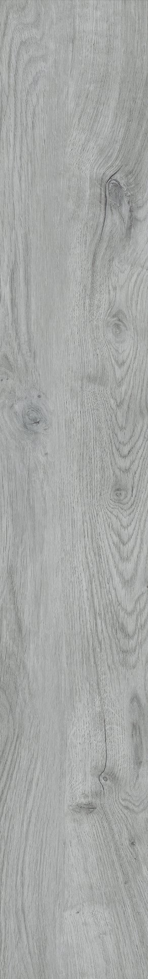 Mflor 81603 Bramber Chestnut Pippuria 25-05 - Afbeelding 3