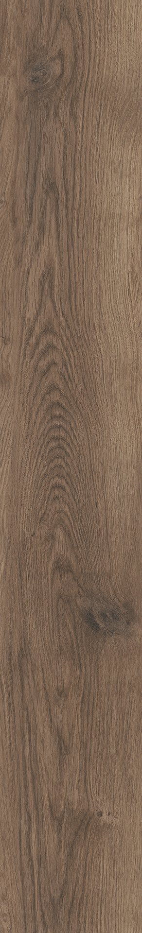 Mflor 81607 Bramber Chestnut Alforf 25-05 - Afbeelding 3