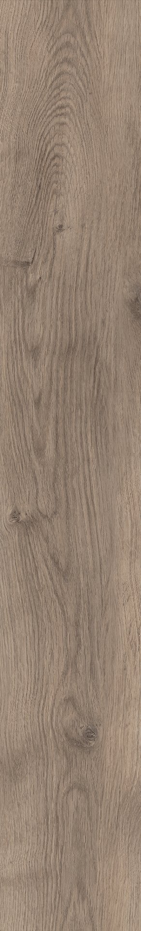 Mflor 81611 Bramber Chestnut Miglio 25-05 - Afbeelding 3