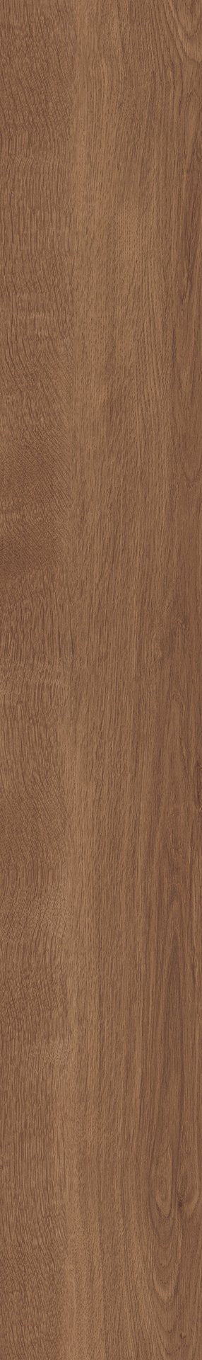 Mflor 41813 Broad Leaf Dark Sycamore 25-05 - Afbeelding 3