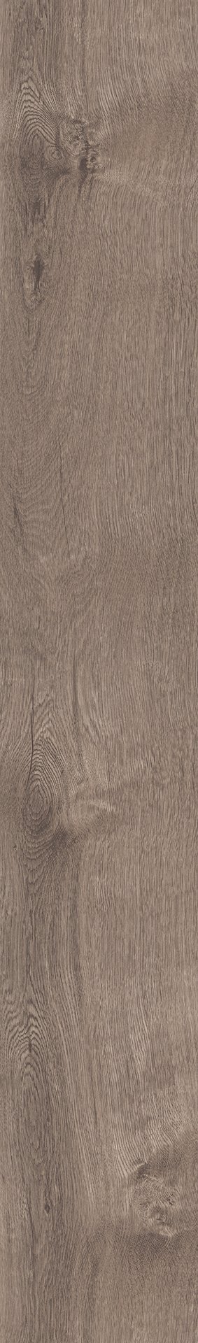 Mflor 41817 Broad Leaf Smoky Sycamore 25-05 - Afbeelding 3