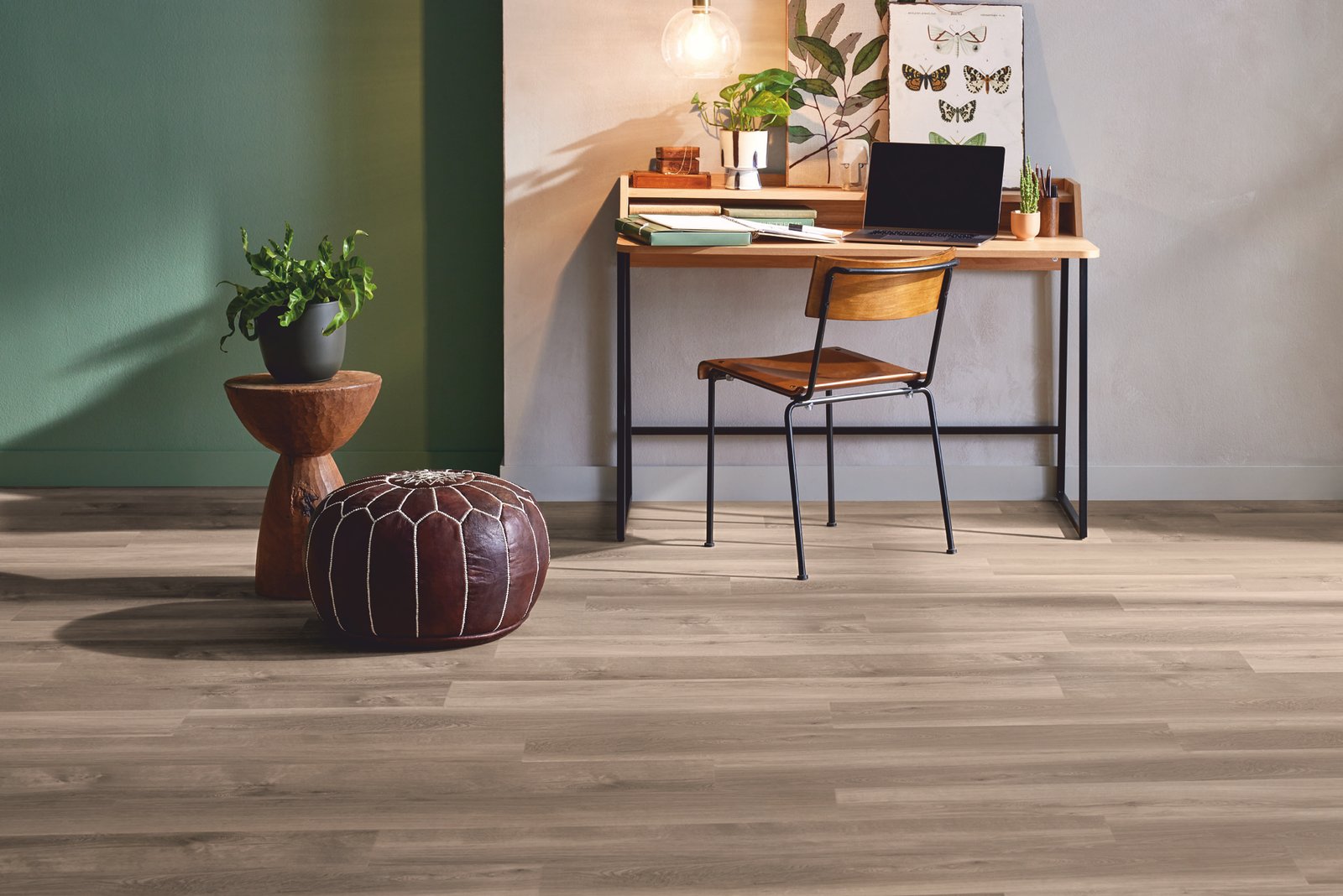 Mflor 41817 Broad Leaf Smoky Sycamore 25-05 - Afbeelding 5