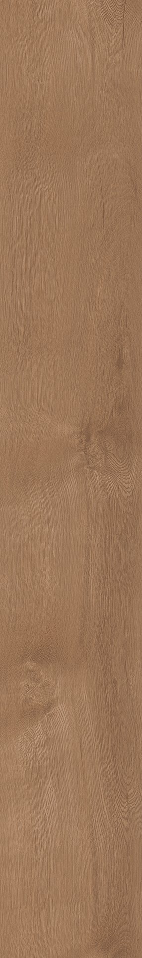 Mflor 41822 Broad Leaf Pure Sycamore 25-05 - Afbeelding 3