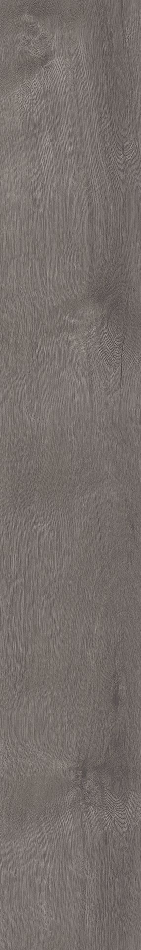 Mflor 41828 Broad Leaf Grey Sycamore 25-05 - Afbeelding 3