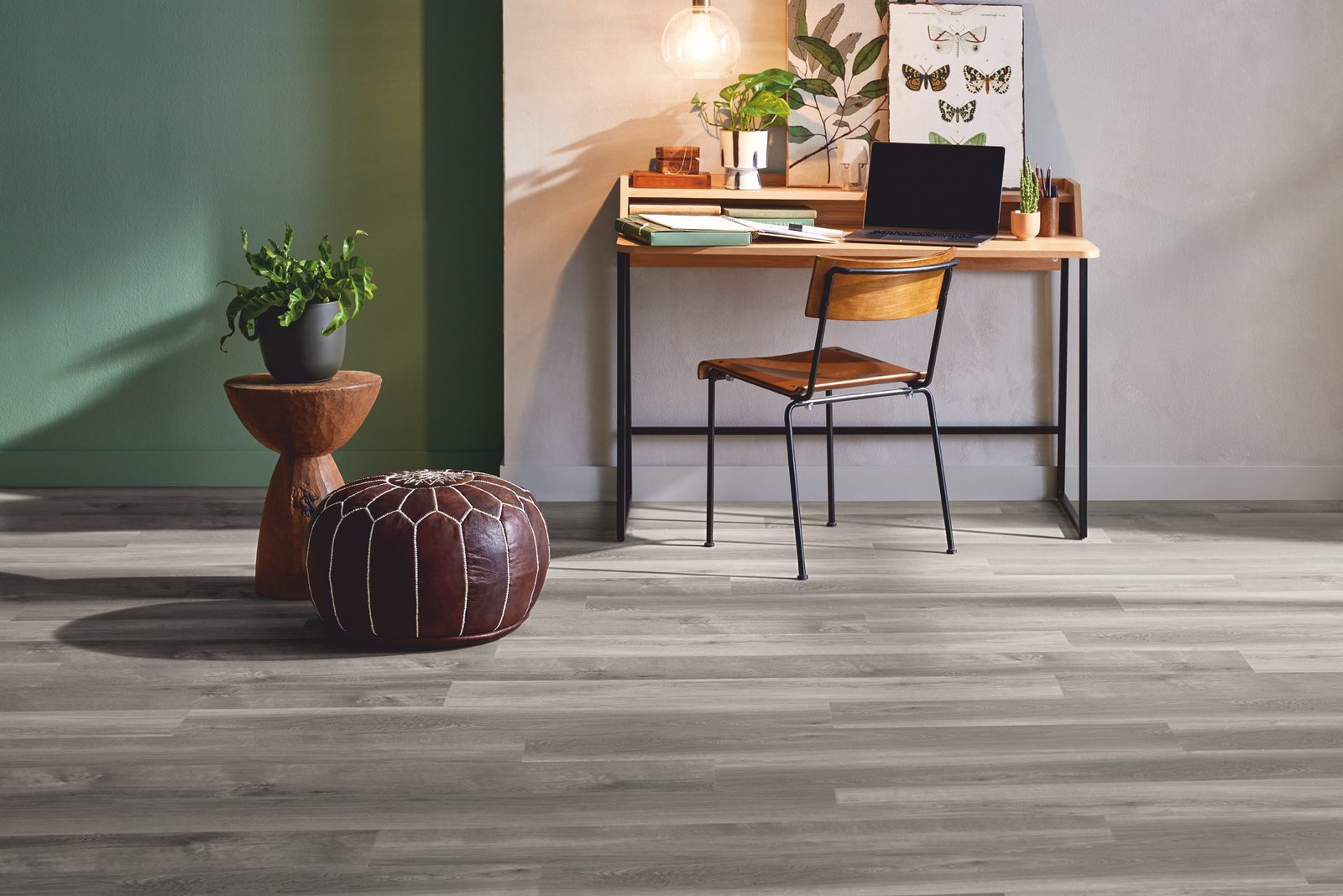 Mflor 41828 Broad Leaf Grey Sycamore 25-05 - Afbeelding 5