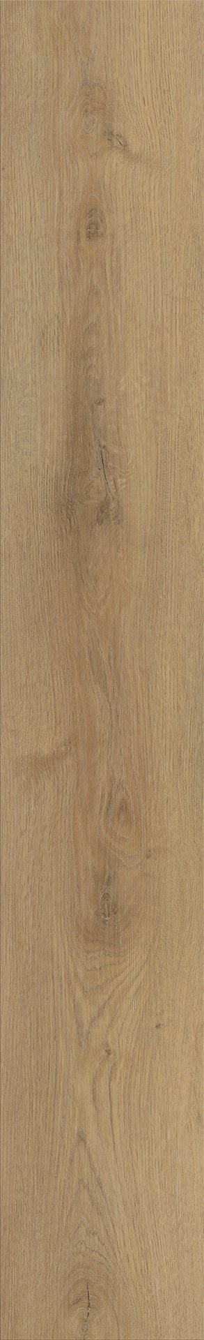 Mflor 62323 Colton Alyssa 20-03 - Afbeelding 3