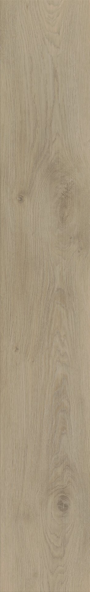 Mflor 62331 Colton Damian 20-03 - Afbeelding 3