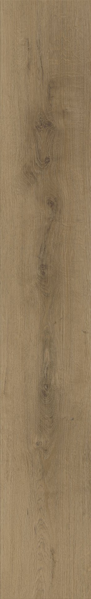 Mflor 62333 Colton Julianne 20-03 - Afbeelding 3