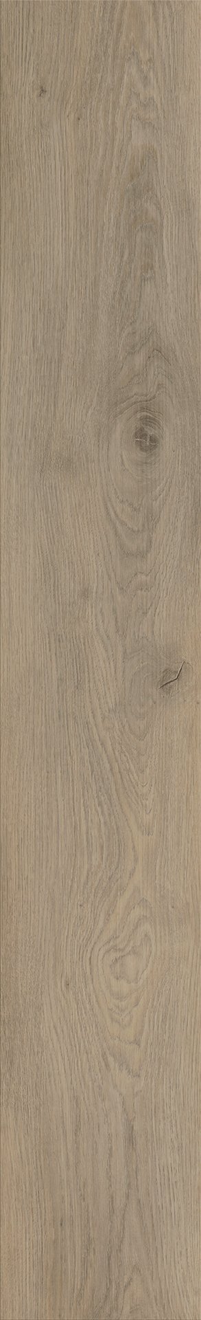 Mflor 62334 Colton Michelle 20-03 - Afbeelding 3