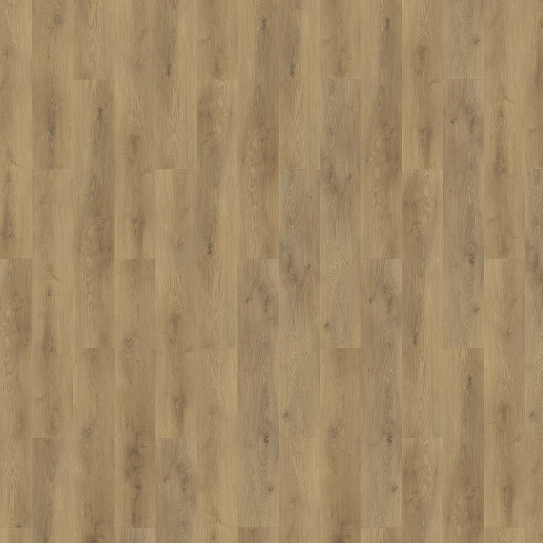 Mflor 62335 Colton Ralph 20-03