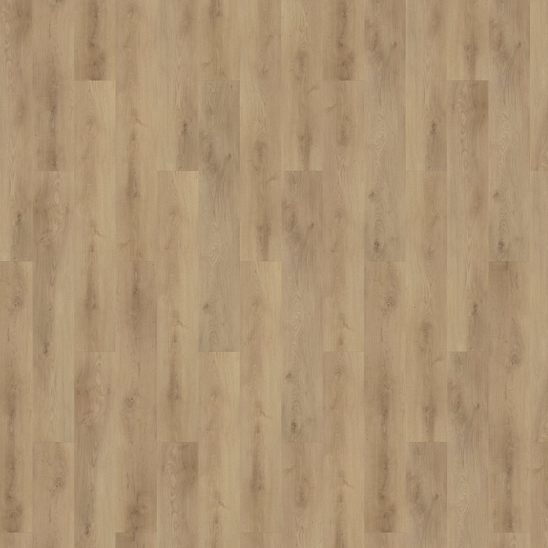 Mflor 62336 Colton Tyler 20-03