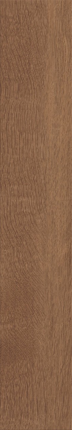 Mflor 40813 Parva Broad Leaf Dark Sycamore 25-05 - Afbeelding 3