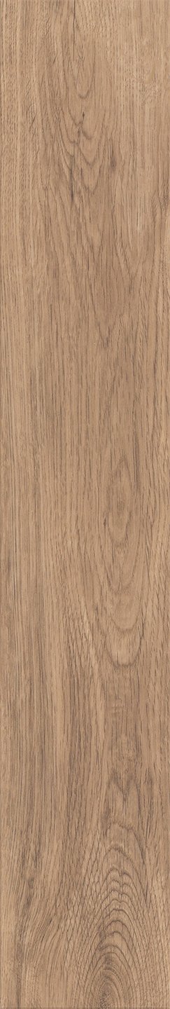 Mflor 40815 Parva Broad Leaf Warm Sycamore 25-05 - Afbeelding 3