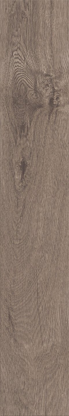 Mflor 40817 Parva Broad Leaf Smoky Sycamore 25-05 - Afbeelding 3