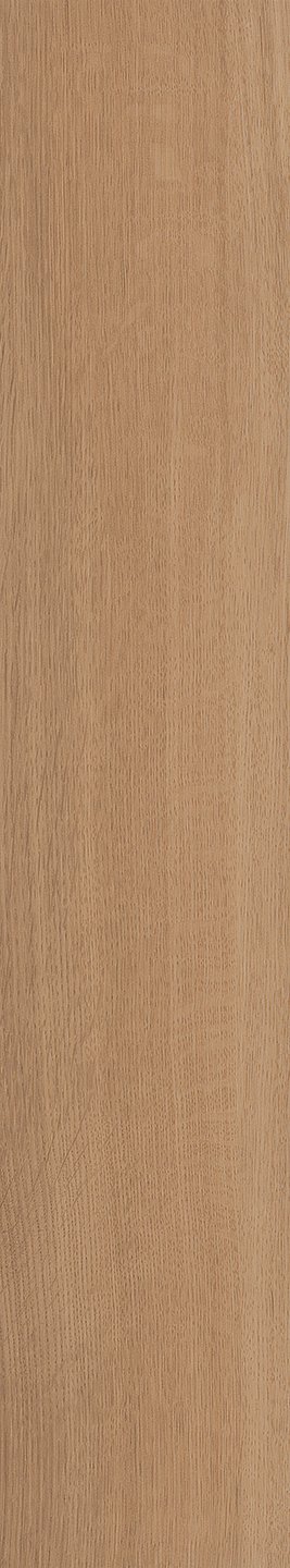 Mflor 40822 Parva Broad Leaf Pure Sycamore 25-05 - Afbeelding 3
