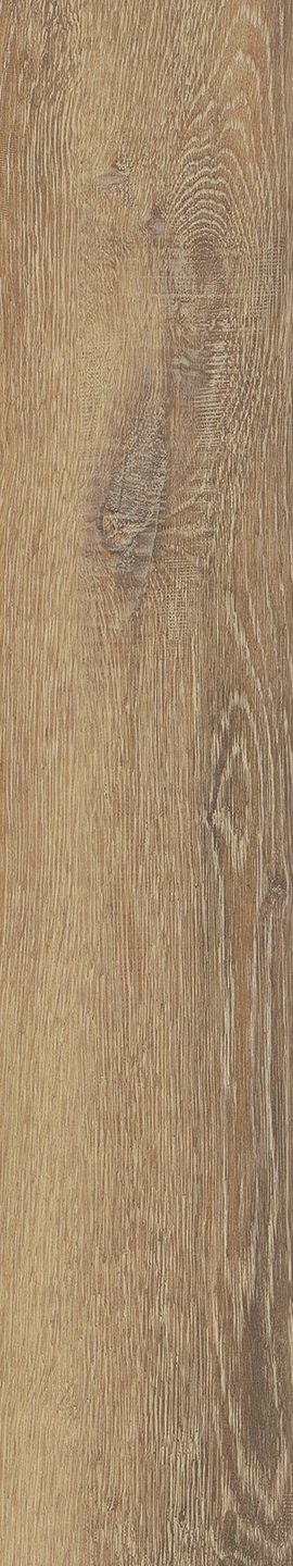 Mflor 41215 Parva Oak Apulia 25-05 - Afbeelding 3