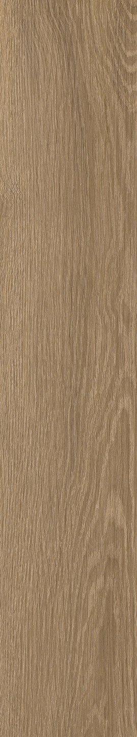 Mflor 41322 Parva River Oak Danube 25-05 - Afbeelding 3