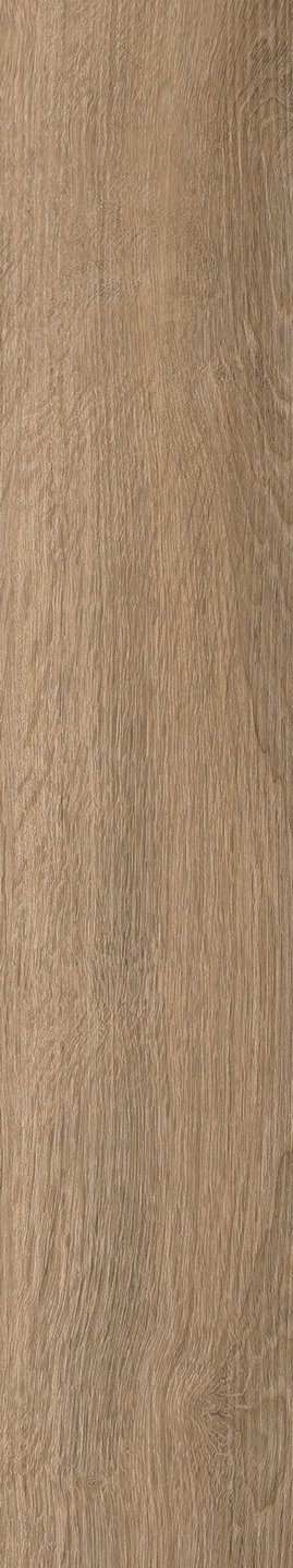 Mflor 41324 Parva River Oak Volga 25-05 - Afbeelding 3