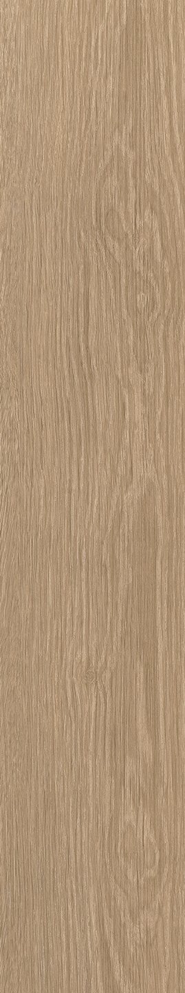 Mflor 41329 Parva River Oak Tarn 25-05 - Afbeelding 3