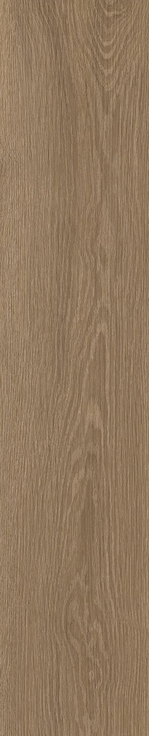 Mflor 41922 Parva River Oak XL Danube 25-05 - Afbeelding 3