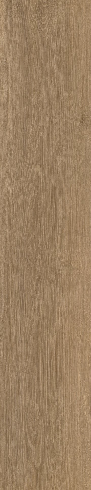 Mflor 63022 River Oak Danube 20-03 - Afbeelding 3