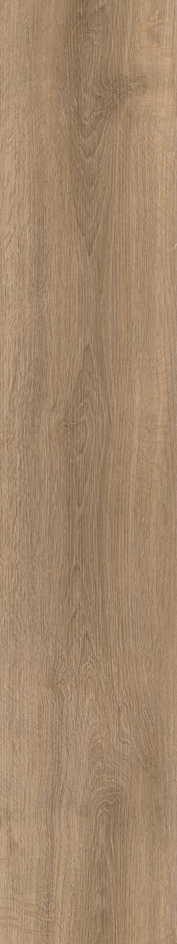 Mflor 63024 River Oak Volga 20-03 - Afbeelding 3