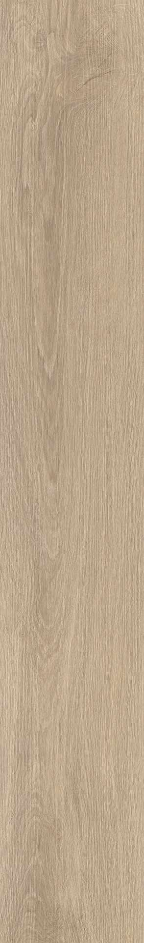 Mflor 73014 River Oak XL Po 25-05 - Afbeelding 3