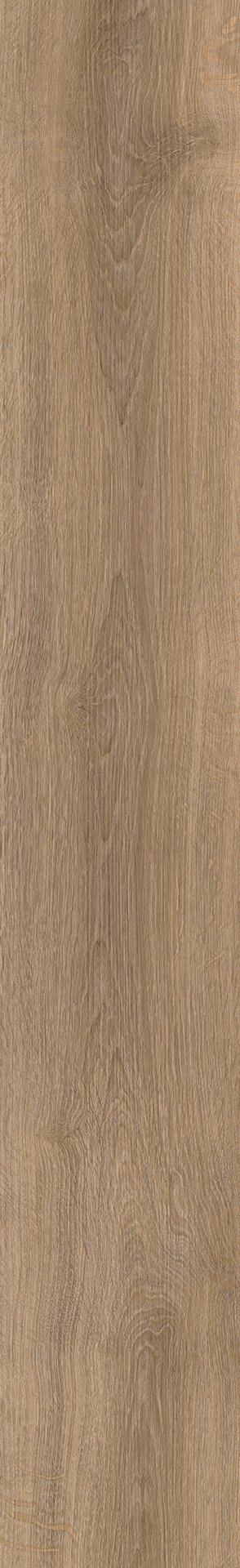 Mflor 73024 River Oak XL Volga 25-05 - Afbeelding 3