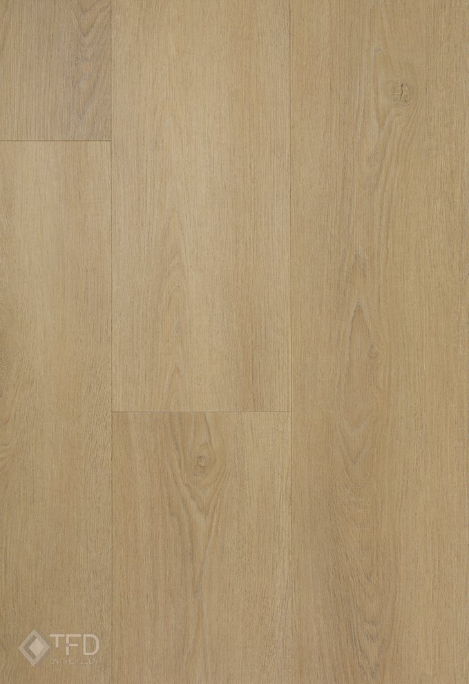 Easy 3 - Afbeelding 3