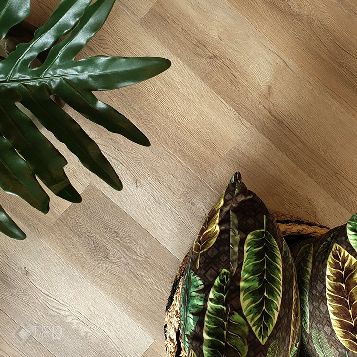 Firm 6 - Afbeelding 3