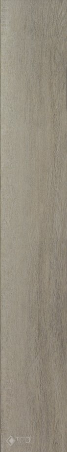 Heritage 3 - Afbeelding 3